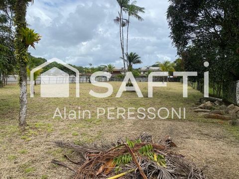 Terrain constructible 2436m2 (1117 + 1319)