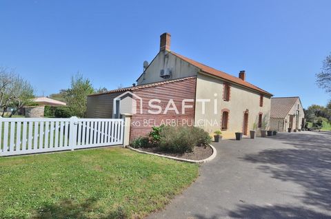 photo no. 16