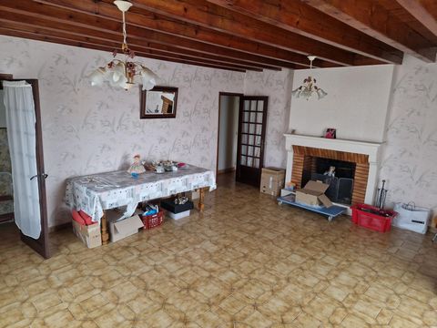 photo no. 4