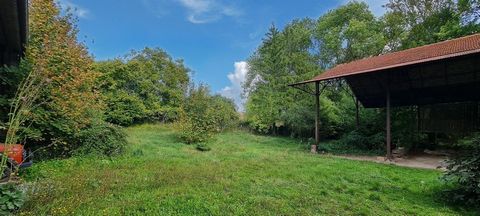 photo no. 13