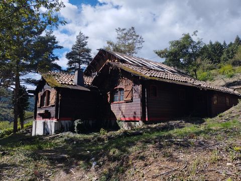 photo no. 6