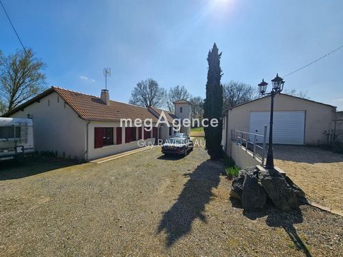 photo no. 10