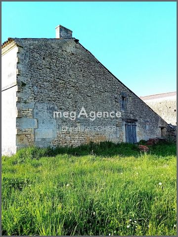 photo no. 1