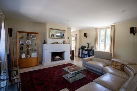 photo no. 11