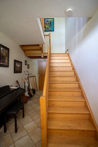 photo no. 12