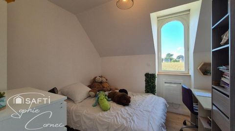 photo no. 10