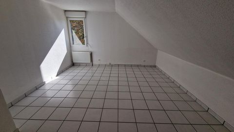 photo no. 11