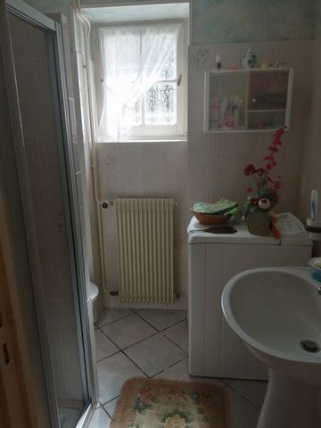 photo no. 7