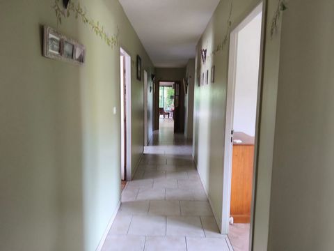 photo no. 16