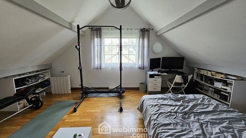 photo no. 11