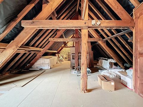 photo no. 18