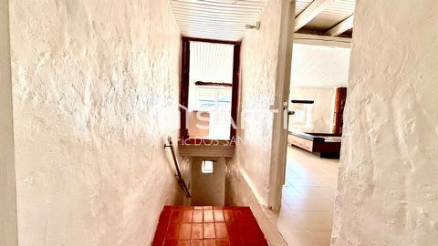 photo no. 9