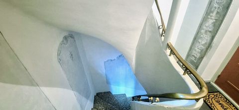 photo no. 9