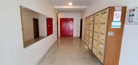photo no. 3