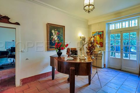 photo no. 14