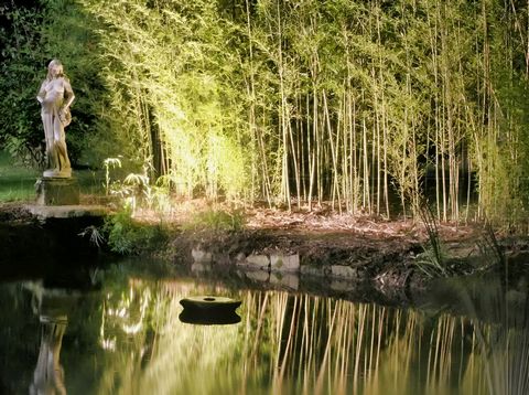 photo no. 19
