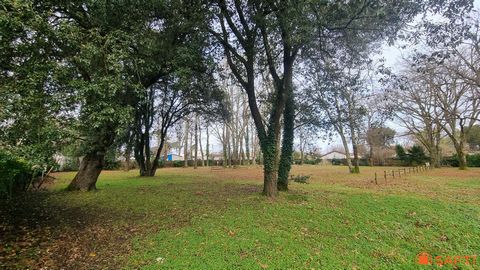 photo no. 7