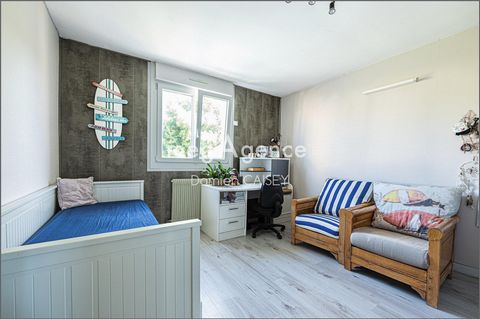 photo no. 10