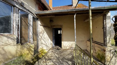 photo no. 16