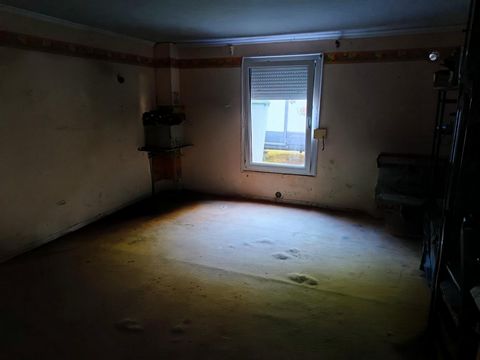 photo no. 10