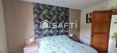 photo no. 9