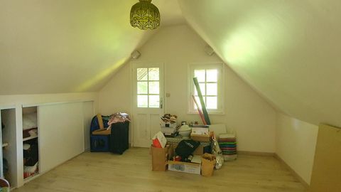 photo no. 17