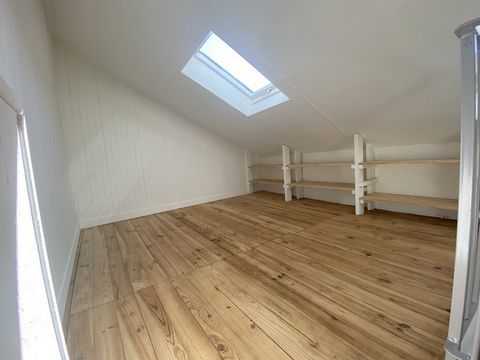 photo no. 12
