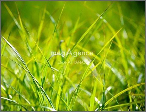 Terrain constructible 535m2