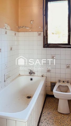 photo no. 11