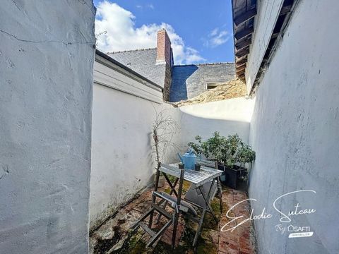 photo no. 11