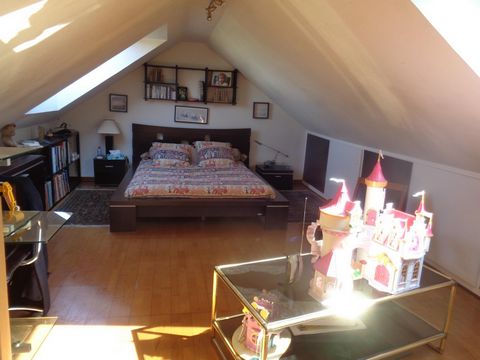photo no. 8
