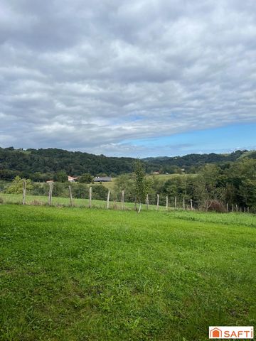 photo no. 16