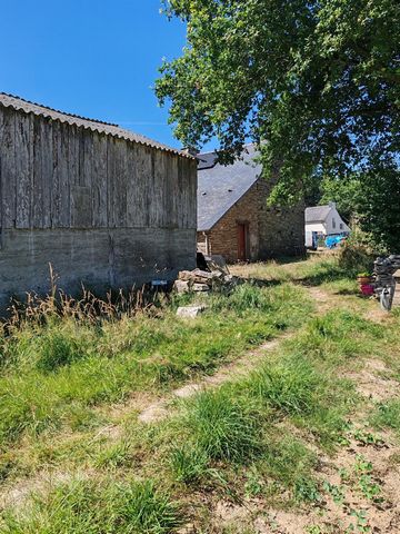 photo no. 4