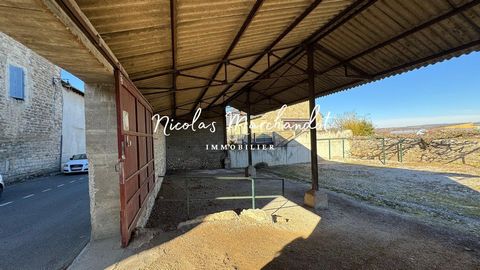 photo no. 12