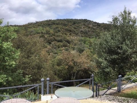 Magnifique propriété composée d’un ensemble de deux maisons, d’une piscine et diverses dépendances sur un peu plus de 5 hectares.Magnificent property consisting of a set of two houses, a swimming pool and various outbuildings on just ...