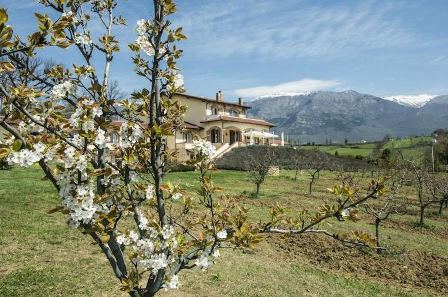 Price: on request A charming estate in the countryside of Alvito, in the hills of the wonderful Valle di Comino on the Lazio side of the National Park of Abruzzo, Lazio and Molise. Conveniently located between Naples, Rome and Pescara, from which it ...