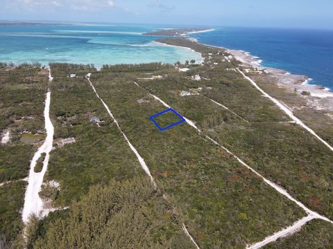 Lot 108 is a beautiful wooded lot, located on Ocean View Ave., in Whale Point, an established subdivision in North Eleuthera. This property offers 14,500 square feet of native Bahamian coppice set among a thriving community of homes with two shared b...