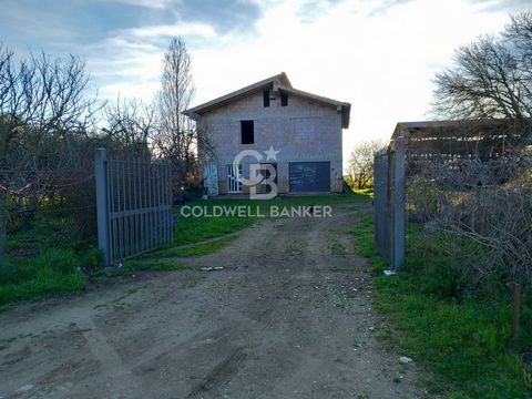 LAZIO - VITERBO - TUSCANIA RUSTIC/FARMHOUSE WITH COURT Rustic country house with private outdoor area. The property of about 200 square meters, easily accessible and easily accessible, is composed as follows: Ground floor, used as a deposit/warehouse...