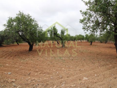 Unique Opportunity for Residential Development or Luxury Project in the Heart of the Algarve This exceptional property offers a total land area of 8,250m2, presenting significant construction potential and a strategic location, less than a minute fro...