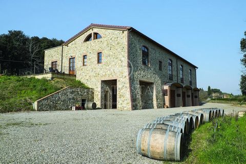 In this beautiful compendium stands out a beautiful and very interesting winery consisting of a recently built cellar on three levels of 1,000 square meters complete with equipment for vinification, refinement and bottling, where they attend steel va...