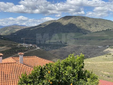 Warehouse - Garage and mixed land with 900m2. A warehouse composed of a large space of 96m2. Excellent construction, you can convert into housing. The land is above the Douro River, composed of fruit trees (3 orange trees, 1 mandarin tree, 1 diospire...
