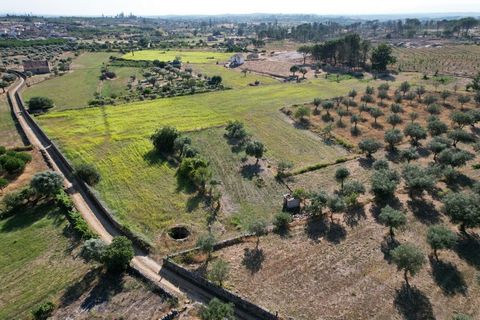 Farm with Tourist Potential located in Vila Verde in the Municipality of Seia, with 33,569m² of land. The Quinta has two granite stone houses to rebuild, two granite tanks, several wells with abundant water, olive groves, flat land for pasture. Oak t...