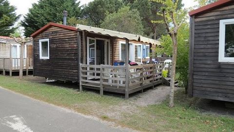 I suggest you invest in a campsite in the heart of the Périgord Noir, this campsite is located in the Sarladaise countryside on a 5.5 ha plot of land with more than 100 pitches divided between mobile homes and space for tents and caravans. Possibilit...