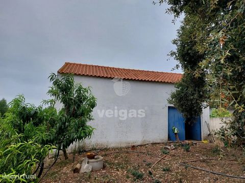 Land with 12.741m2, with feasibility of construction of a villa with about 350m2 of gross area, with 2 floors and a maximum cercea (vertical dimension) of 7 meters. It is inserted in a dispersed building area and in an Agroforestry area. It has appro...