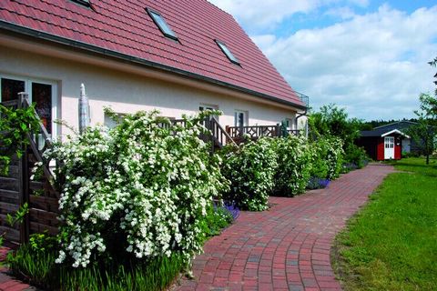 The small, tranquil village of Buchholz is idyllically located on Lake Müritz, an extension of the Müritz, and is located in the Mecklenburg Lake District. Bordered by meadows, fields and forests and lots of water, Buchholz belongs to the Röbel/Mürit...