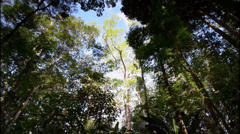 Price: €8,000,800 - Explore Amazonas Rainforest Properties  Your Gateway to a Biodiverse Paradise Unlock a Unique Investment Opportunity: Welcome to a remarkable investment opportunity in the heart of the Amazon Rainforest, Amazonas, Brazil. Discover...