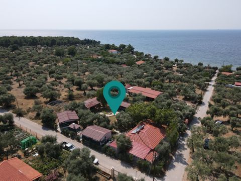 Property Code: 11112 - Business FOR RENT in Thasos Skala Kallirachis for €15.000 Exclusivity. This 95 sq. m. furnished Business is on the Ground floor and features . The property also boasts Heating system: Air conditioner, view of the Mountain, park...