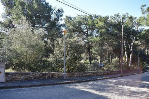 Large plot of 1.589 m2 facing south located in the residential Casa de Campo, in Begur and only 2.6 km from the Tamariu beach. Possibility to build a detached house with pool. Buildable 20%. Maximum occupation to the ground of 15%. Secondary occupati...