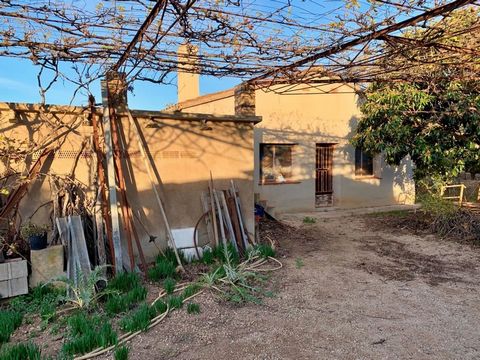 Property situated in a residential area of Jesús (Tortosa), only 5 minutes walking distance to the village. The plot has an area of 3.800 m², planted with citrus and olive trees. Within the plot has been built a housing project with a surface area of...