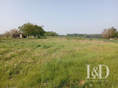 Near Sens - Build the house of your dreams on this plot of land of 5,521 m² for sale in Saint-Sérotin (89140). Ten minutes away: train stations (Pont-sur-Yonne, Champigny sur Yonne and Sens), schools. The A19 motorway is 8 km away. Information on the...